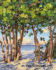 "Sea Grape View"  20" x 16' giclee print on stretched canvas